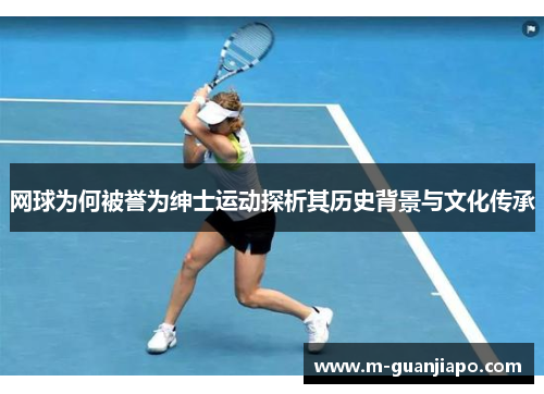 网球为何被誉为绅士运动探析其历史背景与文化传承