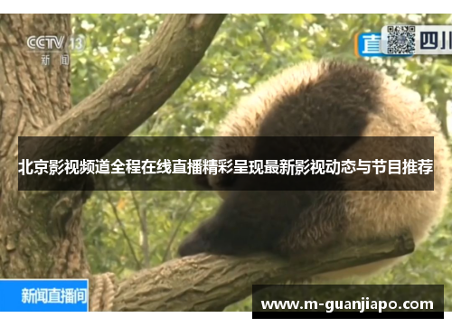 北京影视频道全程在线直播精彩呈现最新影视动态与节目推荐