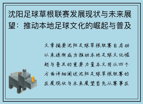 沈阳足球草根联赛发展现状与未来展望：推动本地足球文化的崛起与普及