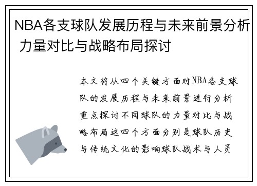 NBA各支球队发展历程与未来前景分析 力量对比与战略布局探讨